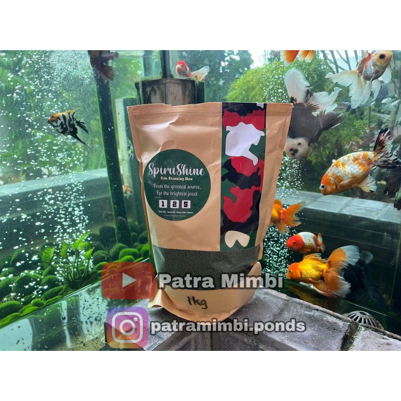 Spirushine Makanan Ikan Koi Mas Koki Sisik Mengkilap 1 kg Patra Mimbi by Ikanesia