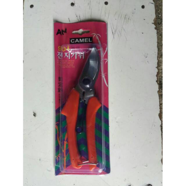 Gunting ranting tanaman hias