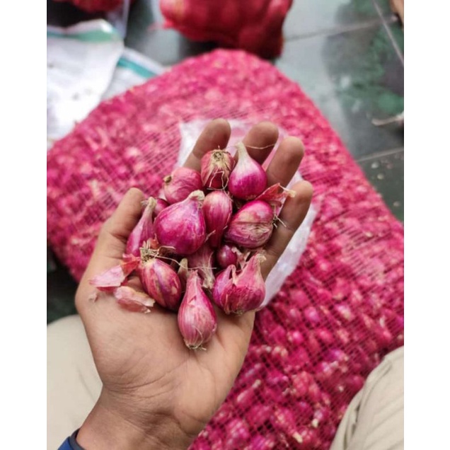 

BAWANG MERAH 500gr