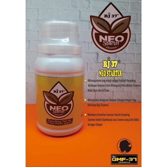 Rj 37 Neo Starter 100ml