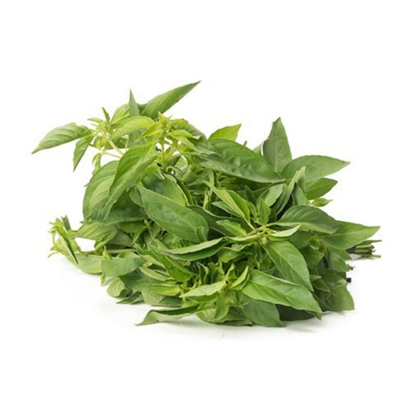 

Daun Kemangi 100 g