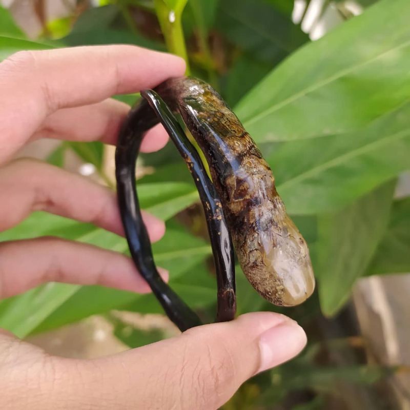 Akar Bahar bonggol batu alami size telunjuk