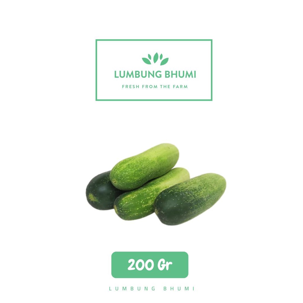 

Lumbung Bhumi - Timun Sedang 200 Gr ( Sayur Curah )
