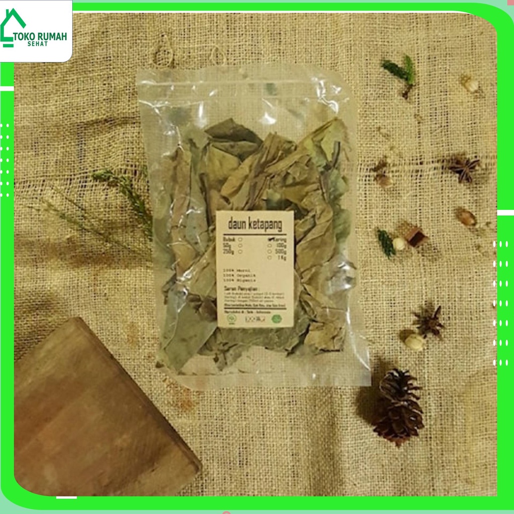 

DAUN KETAPANG BUBUK 100 GRAM - Terminalia Catappa - MURNI - JSR