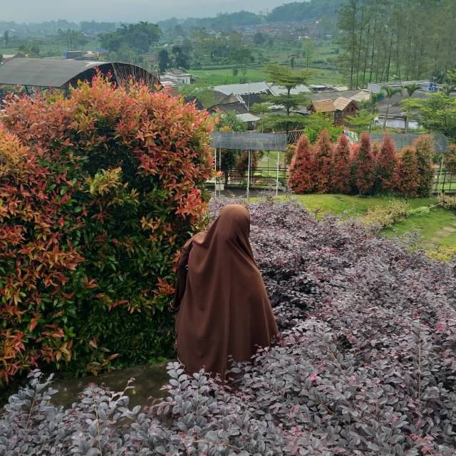 yenyyuliasih10
