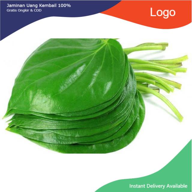 

Daun sirih segar organik per lembar siap ambil ke kebun