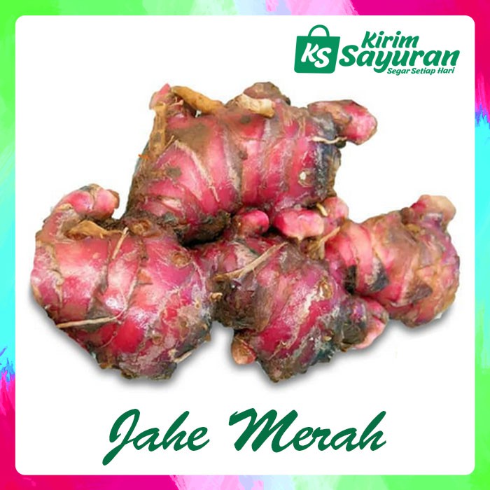 

JAHE MERAH (100 GR)