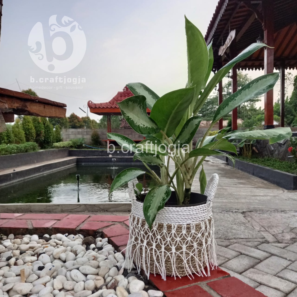 KERANJANG ANYAMAN   COVER POT   25 CM