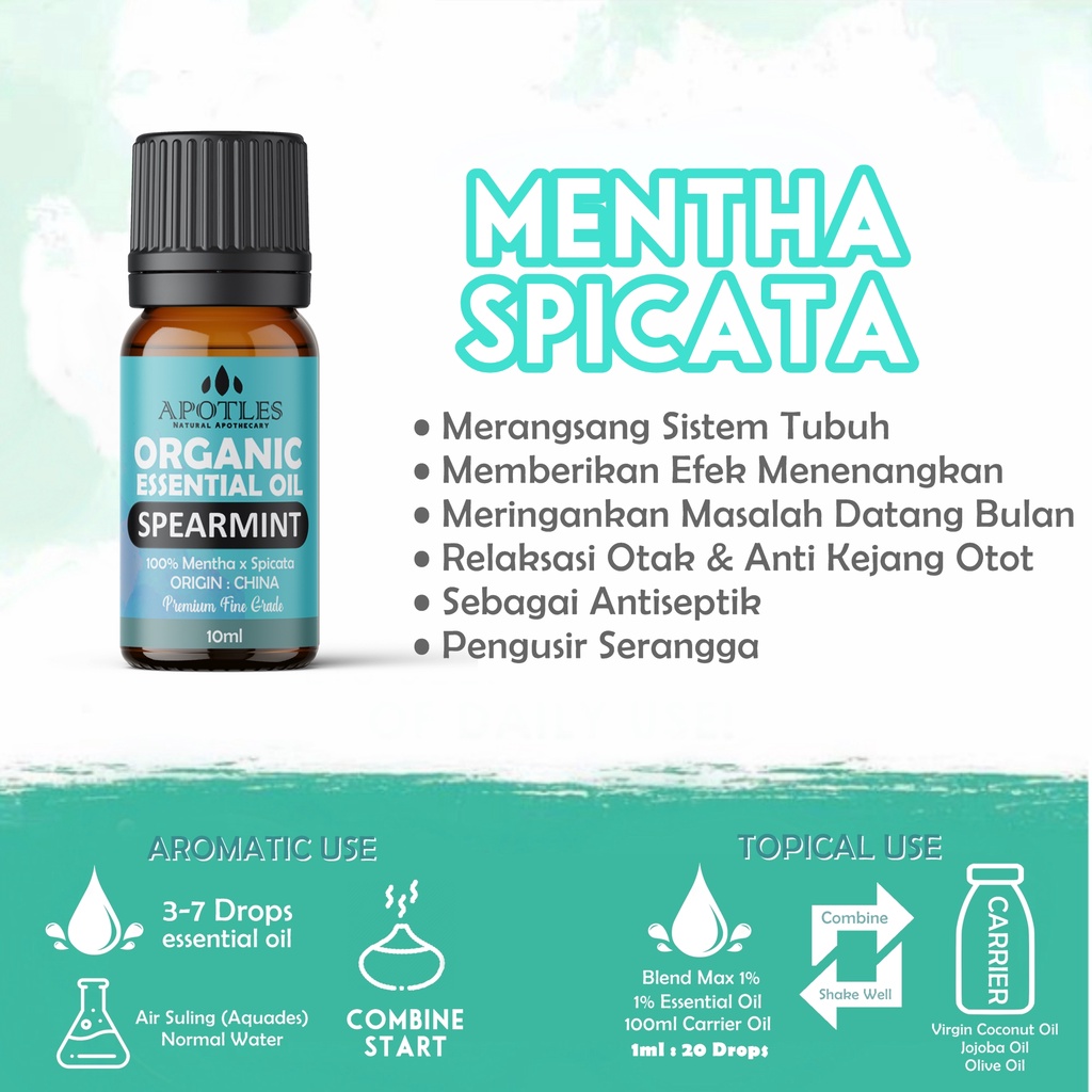 Spearmint Essential Oil - Minyak Aromaterapi Spearmint Pure Essential Oil 10ml