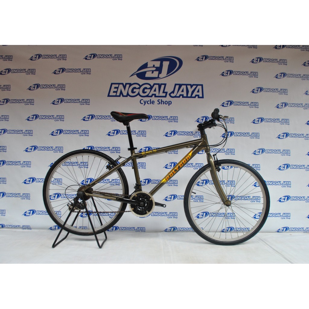 Sepeda MTB Polygon Blaze 1.0 Alloy 21 Speed