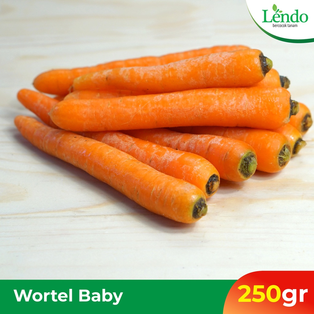 

Wortel Baby