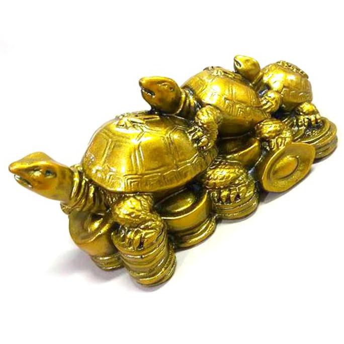 88 Koleksi Gambar Kolase Hewan Kura Kura Gratis