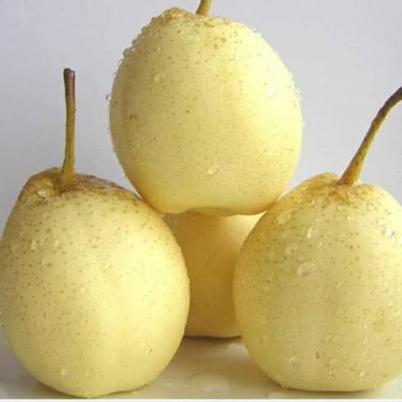 buah pir 1 kg