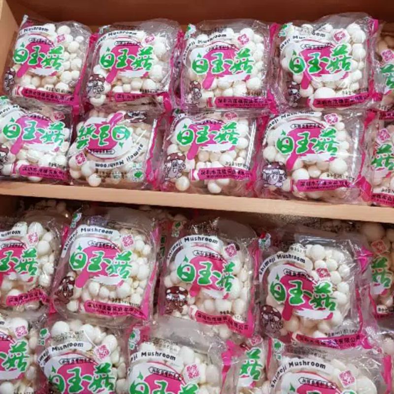 

Jamur Shimeji
