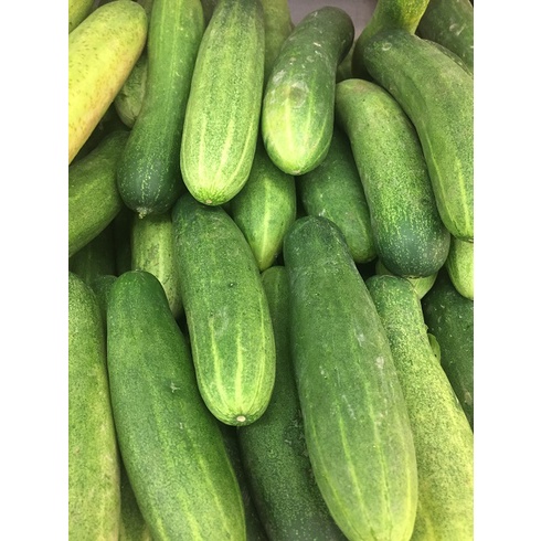 

Timun Segar 500 gr