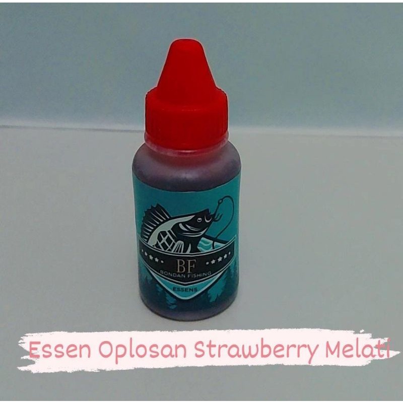 Essen Oplosan Esen STROBERI MELATI untuk Galatama lele umpan alam media ulet hongkong /cacing kosmet