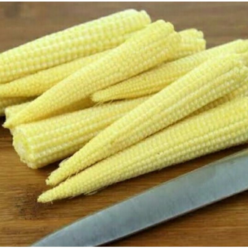 

JAGUNG SEMI SEGAR 250 GRAM