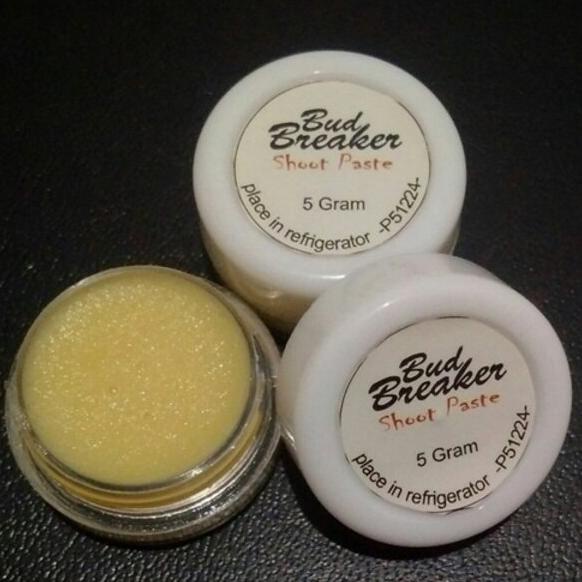Buruan Beli] Bud Breaker Krim Salep Pemecah Penumbuh Tunas Bunga Anggrek