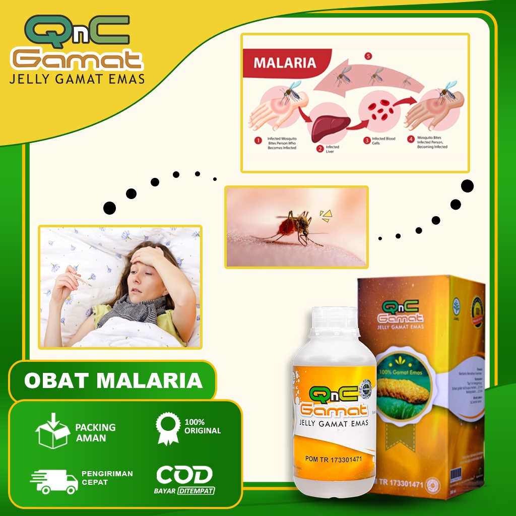 Obat Malaria - Chikungunya
