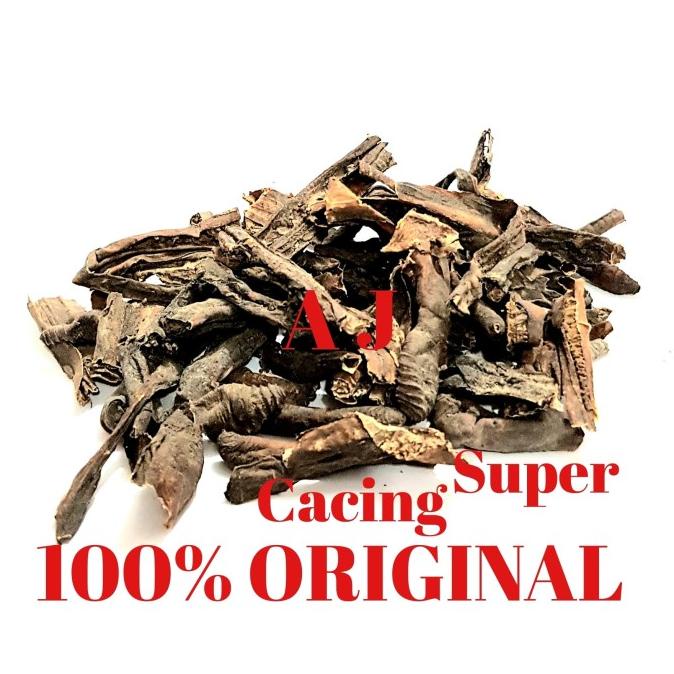 Cacing Tanah Kering Super - Obat Tipes dan Demam