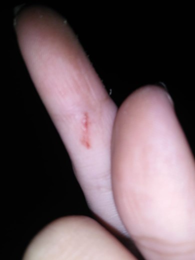 Dahlia Kamper Toilet Ball Classic [5 Pcs]