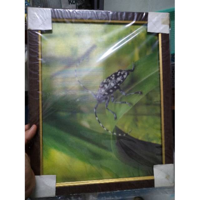 Hiasan dinding hologram 3 dimensi