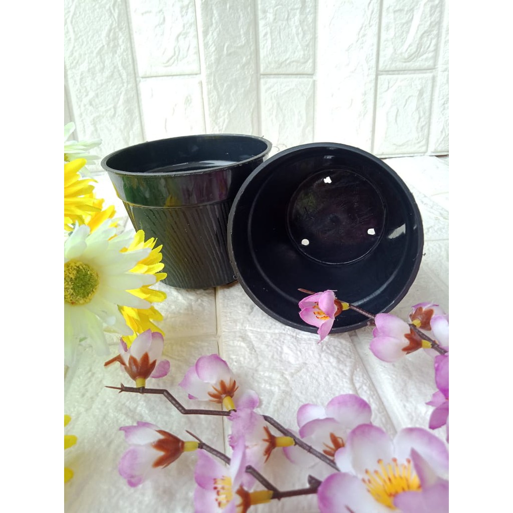 Pot Serat Kayu 10CM Hitam By Garden Of Love Pot 10 Cm Murah Grosir Tanaman Hidroponik Pot Ice Cream