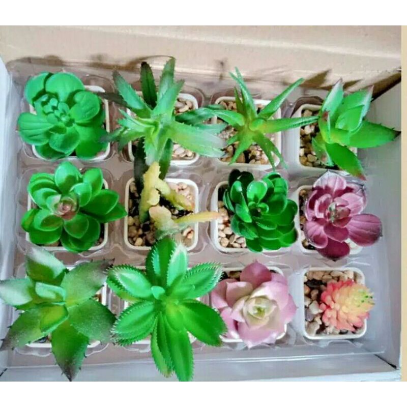 BUNGA ARTIFICIAL SUKULEN MINI DAN KAKTUS LIDAH BUAYA
