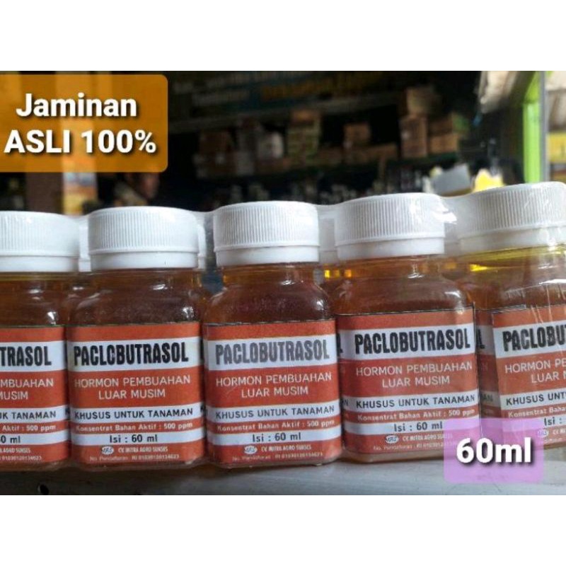 Hormon Paclobutrazol 60ml Hormon perangsang pembuahan diluar musim Nutrisi Tanaman Buah