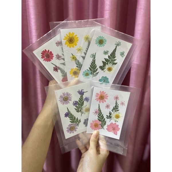 READY STOCK! TERMURAH! Bunga Kering/Pressed Flower Mixed Natural Dried Flowers untuk DIY Art Floral Decors