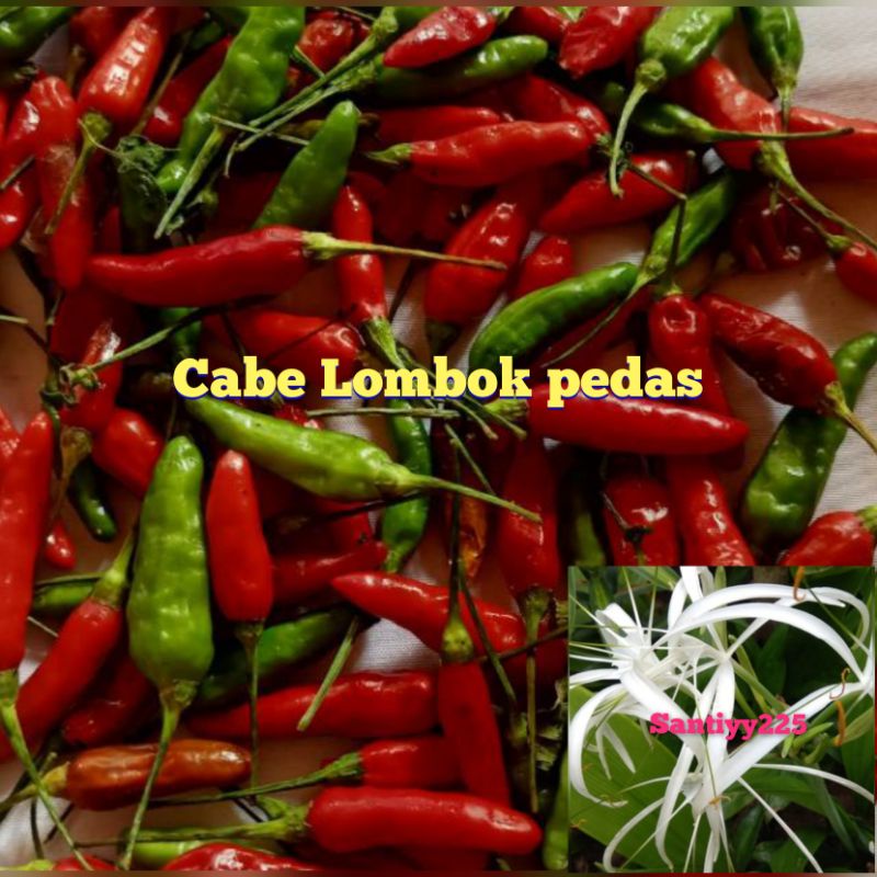 

Jual cabe rawit cabe lombok 500 gram