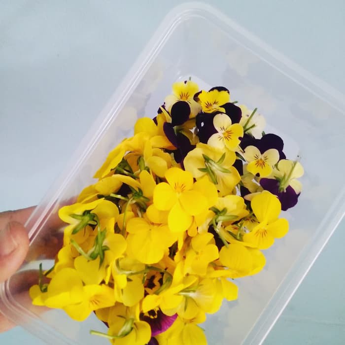 

TERBARU Mix edible flower
