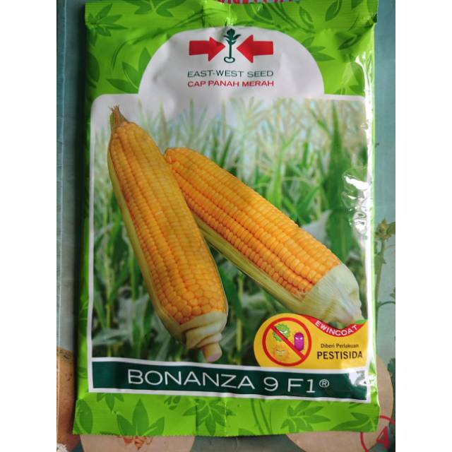 Benih Jagung Manis BONANZA 9 1800bj