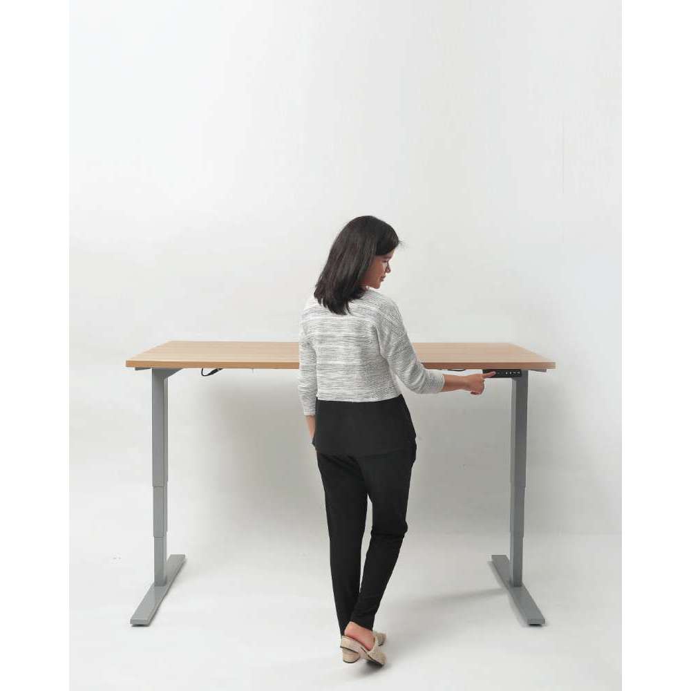 Firm - SNO High-Adjustable Desk