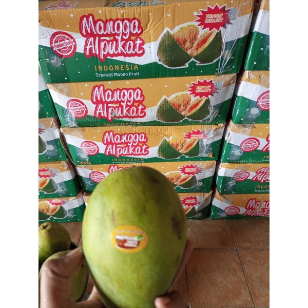 

Mangga Alpukat Fresh super manis 1 kg