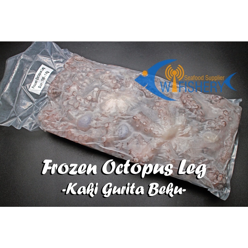 

Octopus Leg / Octopus Headless - Kaki Gurita