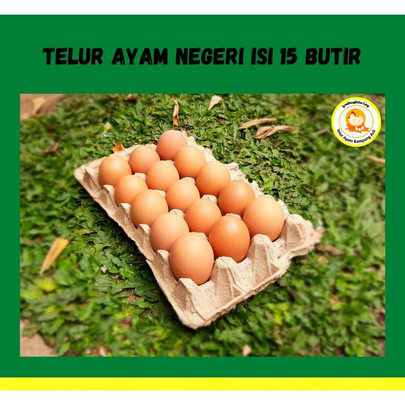 

Telur Ayam Negeri Isi 15 Pcs/Butir