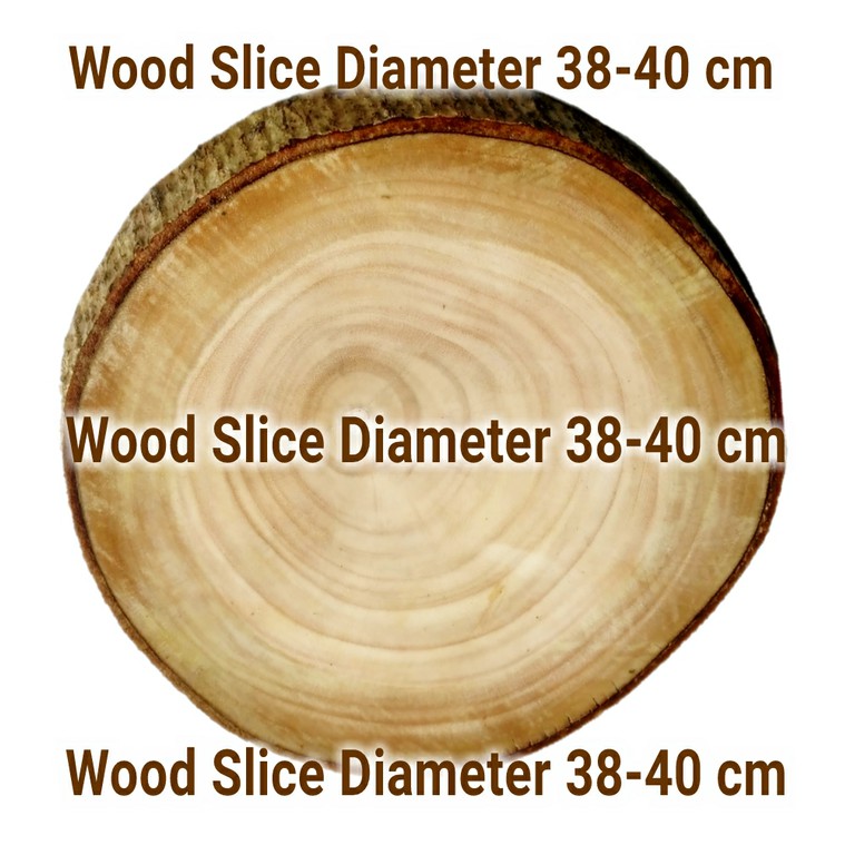 Wood slice diametet 38-40 cm big size wooden log slices dekorasi craft