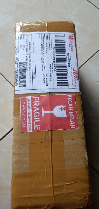 Anggrek Botol Dendrobium Melintir Hybrid