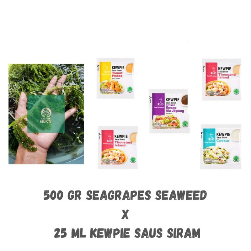 

seagrapes seaweed/latoh anggur laut x kewpie saus siram mayonaise