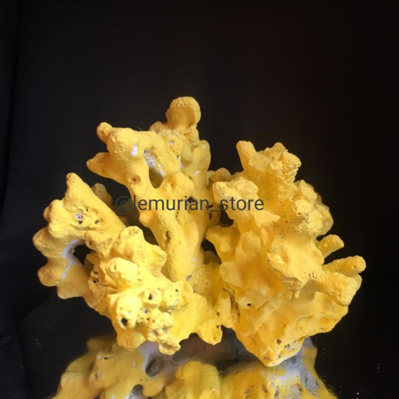 BATU KARANG LAUT ASLI// aquarium/ aquascape/ corallaut/batu/laut/terumbu karang/deadrock/premium