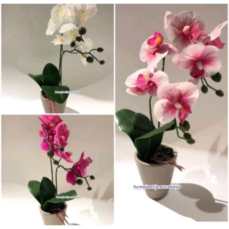 Artifial/ Tanaman hias meja anggrek informa