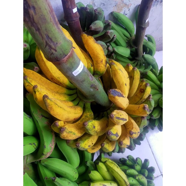 

Varian Pisang