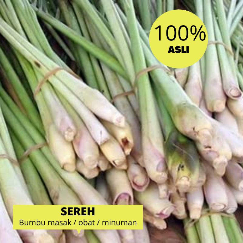 

SERAI SEREH SEGAR | KAMIJARA 100gr-250gr