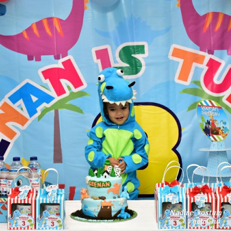 Kostum Dino/kostum dinosaurus/kostum binatang/kostum binatang anak/kostum karakter/Nadine kostum/baj