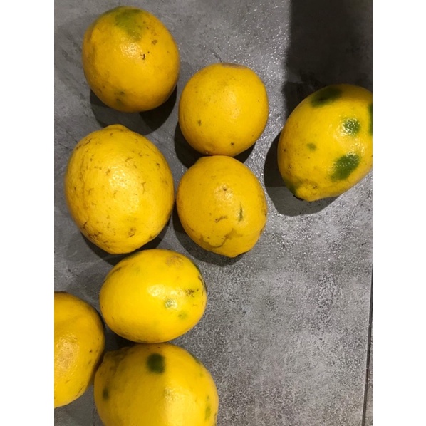 

jeruk lemon rijeck/jeruk lemon untuk peras air banyak 1kg