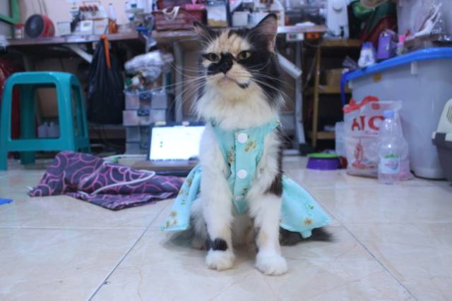 Dress satin toska motif bunga lucu untuk kucing dan anjing / baju kucing murah size S-XL