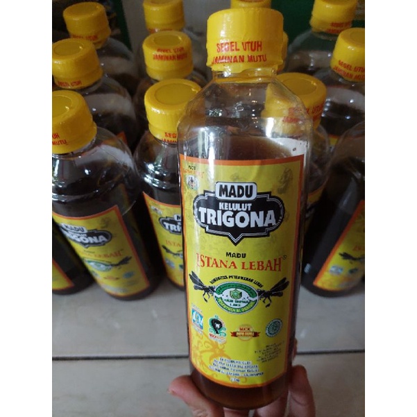 

Madu Trigona Kelulut Klenceng Asli 250 ml 100% Balikpapan Kalimantan tanpa proses tanpa campuran
