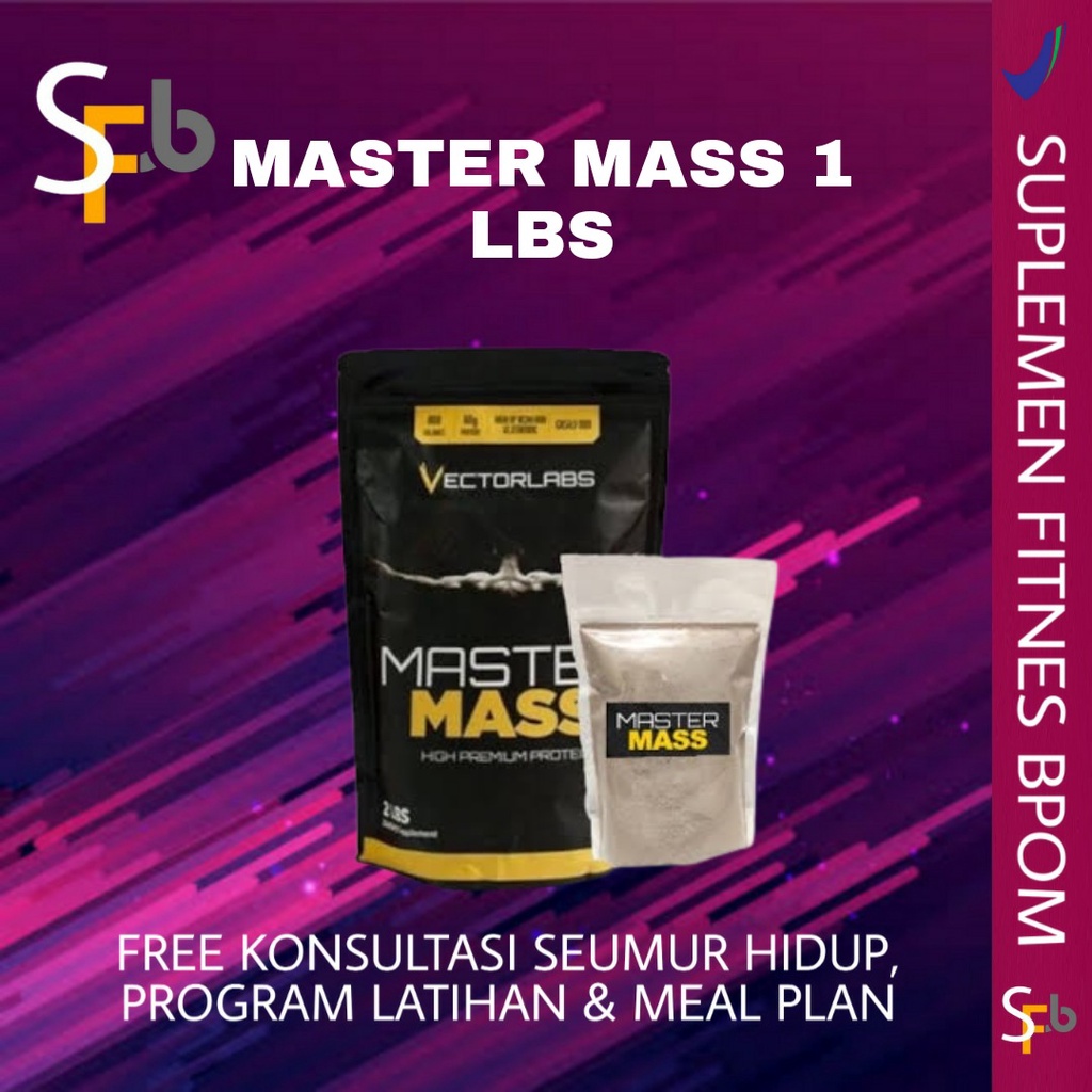 VECTORLABS MASTER MASS 1 LBS WEIGHT GAINER MASTERMASS 1 LBS