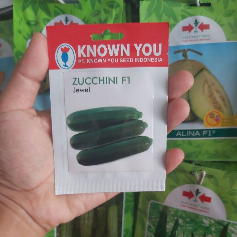 Zuchini Jewel - Benih Zuchini Hijau isi 10 Biji